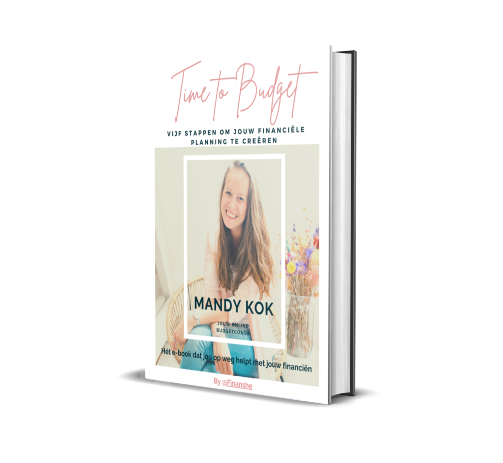 Gratis e-book leren budgetteren